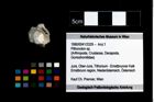 Foto (Objekt + Etikett) von Pithonoton sp.  (NHMW-GEO-1990-0041-3329)
